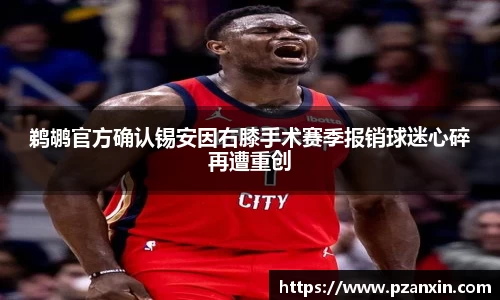 鹈鹕官方确认锡安因右膝手术赛季报销球迷心碎再遭重创